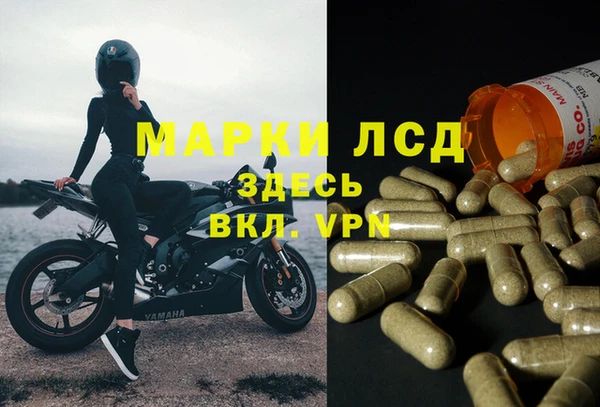 ешки Абаза