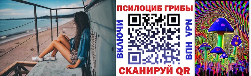 даркнет клад  Заволжье  Псилоцибиновые грибы GOLDEN TEACHER  что такое  